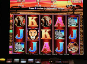 开玩棋牌ky2024最新版